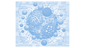 InstaDeep Introduces Nucleotide Transformer v3 (NTv3): A New Multi-Species Genomics Foundation Model, Designed for 1 Mb Context Lengths at Single-Nucleotide Resolution