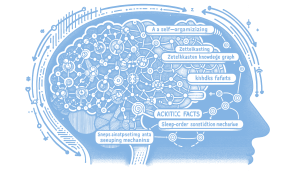 A Coding Implementation on Building Self-Organizing Zettelkasten Knowledge Graphs and Sleep-Consolidation Mechanisms
