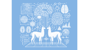 Llama 3.2 3B fMRI - Circuit Tracing Findings