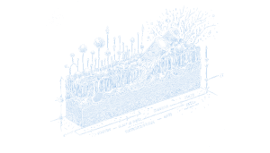 New battery idea gets lots of power out of unusual sulfur chemistry