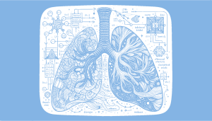 Investigation into respiratory sound classification for an imbalanced data set using hybrid LSTM-KAN architectures